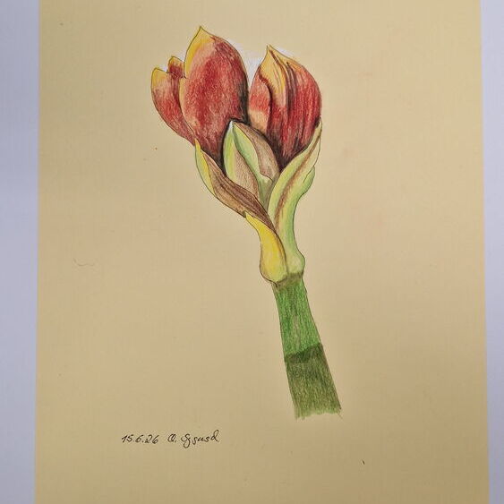 Zeichnung von Christine Sygusch